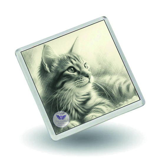 Square Fridge Magnet
Single Sided
Image Size Approx 55 X 55 (mm)
£1.50