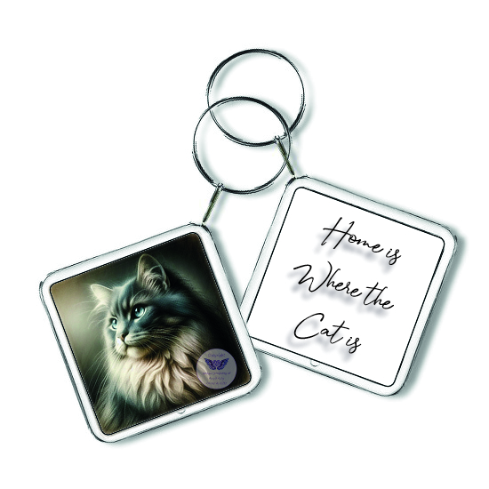 Square Keyring Gift
Double Sided
Matching Framed image
£1.30
