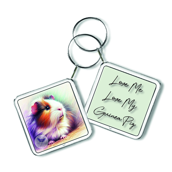 Square Keyring Gift
Double Sided
Matching Framed image
£1.30